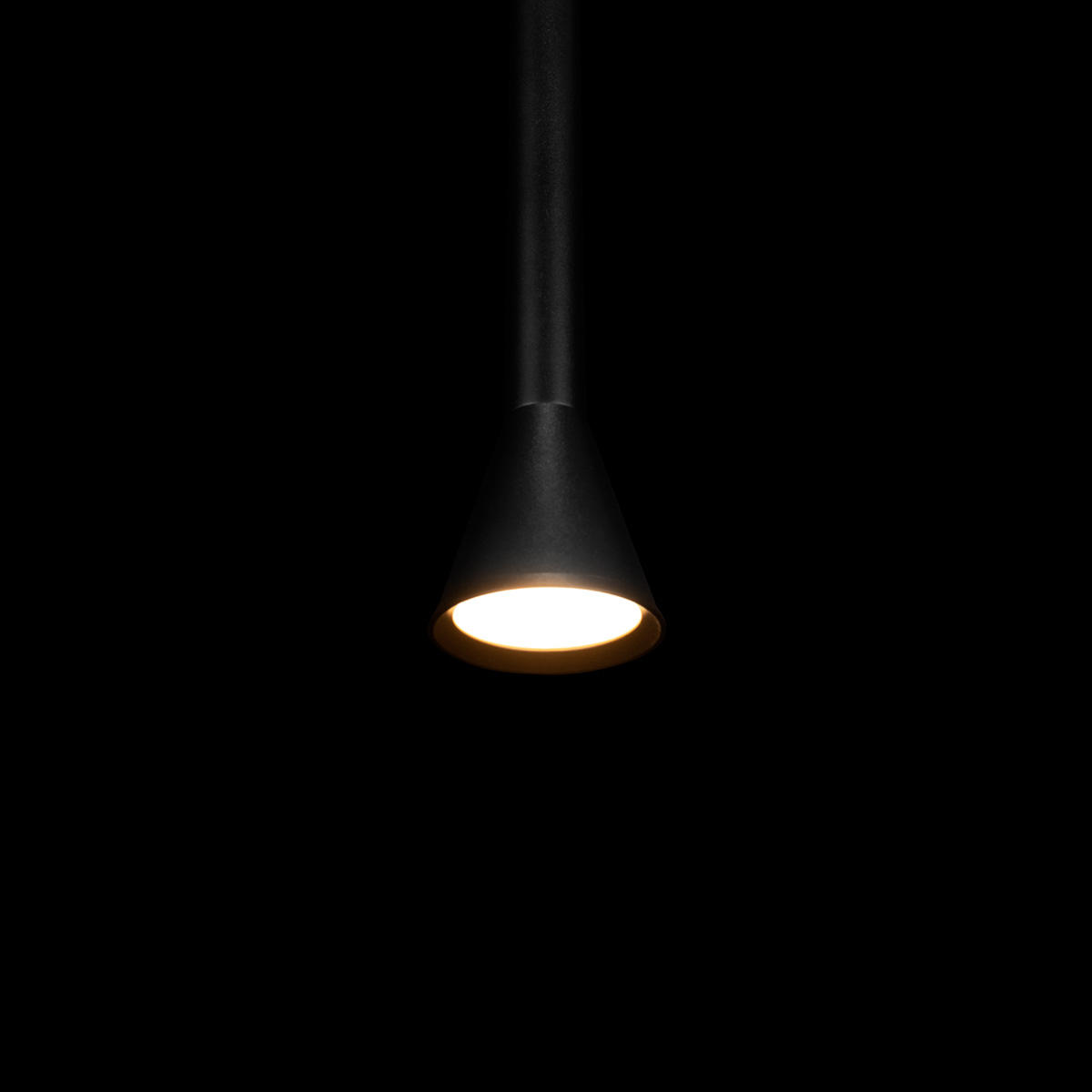 фото подвесной светильник loft it pipe 10337/250 black | 220svet.ru