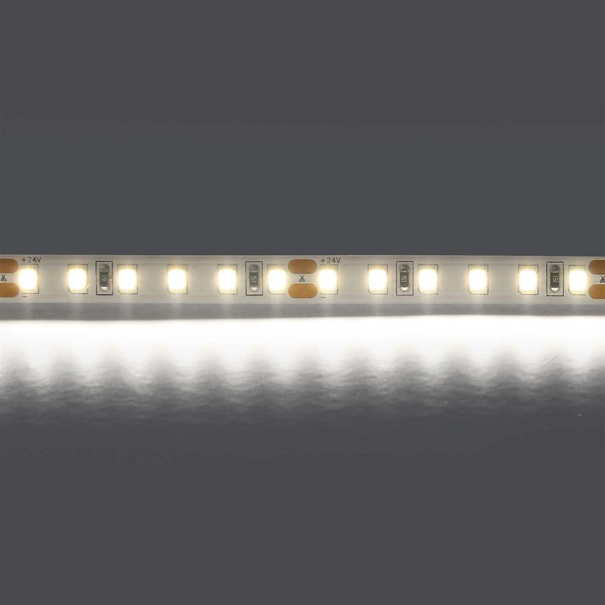 фото светодиодная лента холодный белый lightstar 12w/m 120led/m 5m 420805 | 220svet.ru