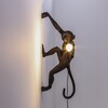 Миниатюра фото настенный светильник monkey lamp hanging right seletti | 220svet.ru
