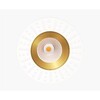 Миниатюра фото встраиваемый светильник italline it02-028 gold 3000k | 220svet.ru