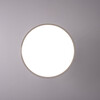 Миниатюра фото потолочный светильник imperium loft birk d30 white 377315-23 | 220svet.ru