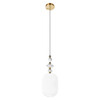 Миниатюра фото подвесной светильник loft it family 10365/g | 220svet.ru