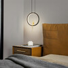 Миниатюра фото подвесной светильник imperium loft remus one brass 233016-23 | 220svet.ru