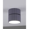 Миниатюра фото спот moderli cora v11902-1c | 220svet.ru