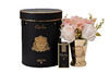 Миниатюра фото диффузор summer posy blush, спрей blonde vanilla 2*5 мл garda decor 96cn-sp002 | 220svet.ru