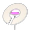 Миниатюра фото торшер с регулировкой цветовой температуры citilux loong cl810030 | 220svet.ru
