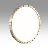 Миниатюра фото настенно-потолочный светильник sonex atabi gold 7648/eln белый | 220svet.ru