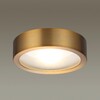 Миниатюра фото потолочный светодиодный светильник odeon light reus 4342/7cl | 220svet.ru