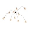 Миниатюра фото люстра-паук loft it spider loft1162a/10 | 220svet.ru