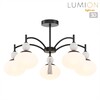 Миниатюра фото потолочная люстра lumion gloriya 8273/5c серый | 220svet.ru