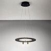 Миниатюра фото подвесная люстра светодиодная lightstar dive 740447 | 220svet.ru