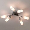 Миниатюра фото потолочная люстра citilux новелла cl122161 | 220svet.ru