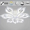 Миниатюра фото светильник потолочный reluce 85162-0.3-6+3 | 220svet.ru