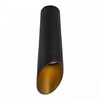 Миниатюра фото потолочный светильник arte lamp pilon-gold a1535pl-1bk | 220svet.ru