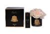 Миниатюра фото диффузор five rose blush10мл garda decor 96cn-rb621 | 220svet.ru