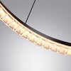 Миниатюра фото подвесной светодиодный светильник с пультом ду novotech monile 359711 черный | 220svet.ru