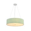 Миниатюра фото потолочный светильник lumion gofera 8326/5 зеленый | 220svet.ru