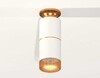 Миниатюра фото комплект потолочного светильника ambrella light techno spot xc (n6905, c6301, a2062, n6154) xs6301261 | 220svet.ru