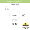 Миниатюра фото уличный фонарь на столб fumagalli globe 250 classic g25.b25.000.vye27 | 220svet.ru