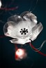 Миниатюра фото подвесной светильник poppy 14 slamp | 220svet.ru