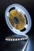 Миниатюра фото лента swg 12w/m 120led/m 2835smd холодный белый 5m swg2120-12-12-w-м 009238 | 220svet.ru